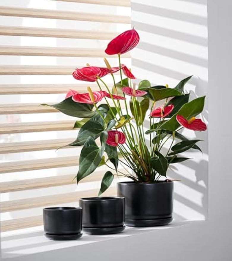 Set of 3 Matte Black Ceramic Plant Pots