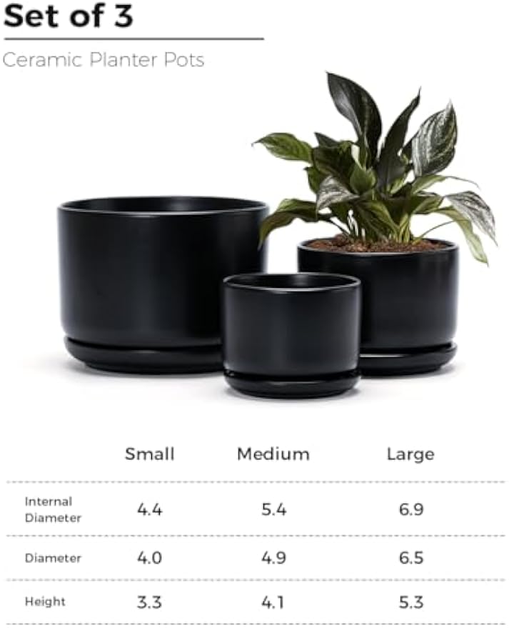 Set of 3 Matte Black Ceramic Plant Pots