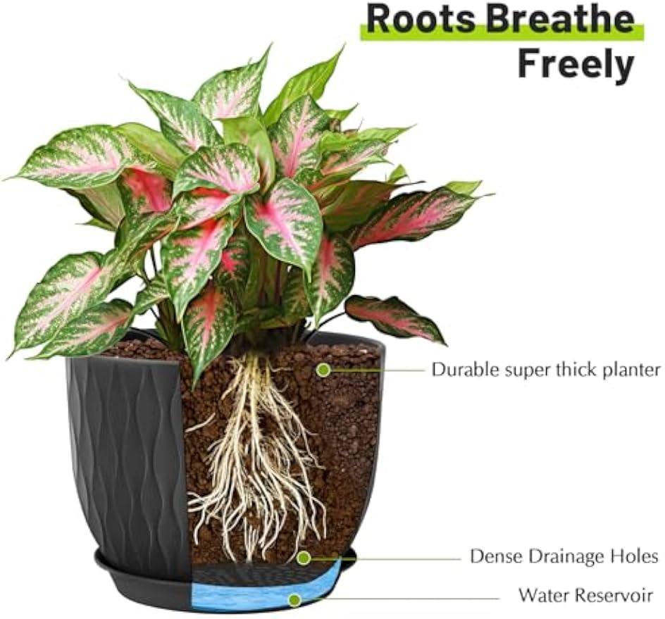 Set of 5 Plastic Plant Pots with Saucers