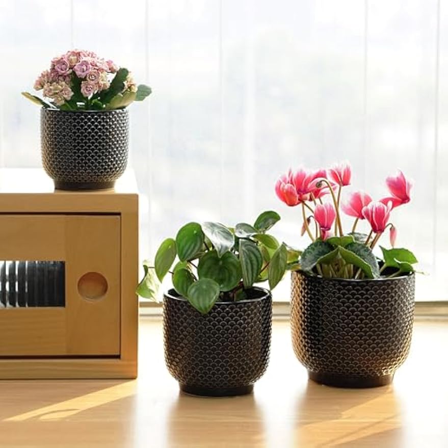Set of 3 Ceramic Plant Pots 4‑6 Inch