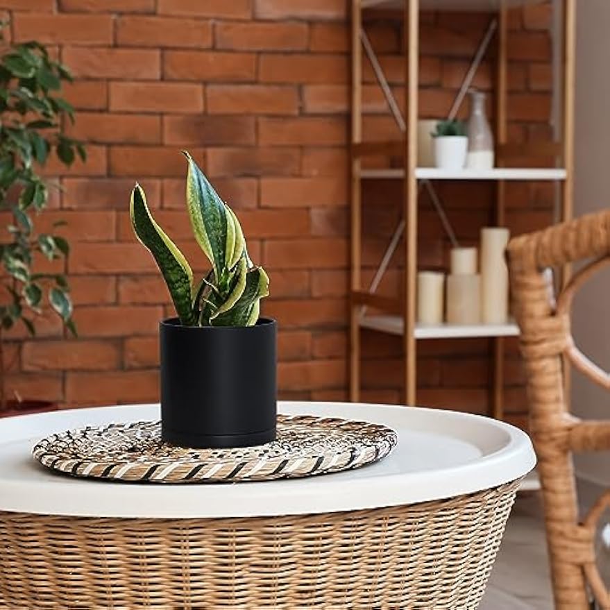 4‑Pack Plastic Planters 6 Inch