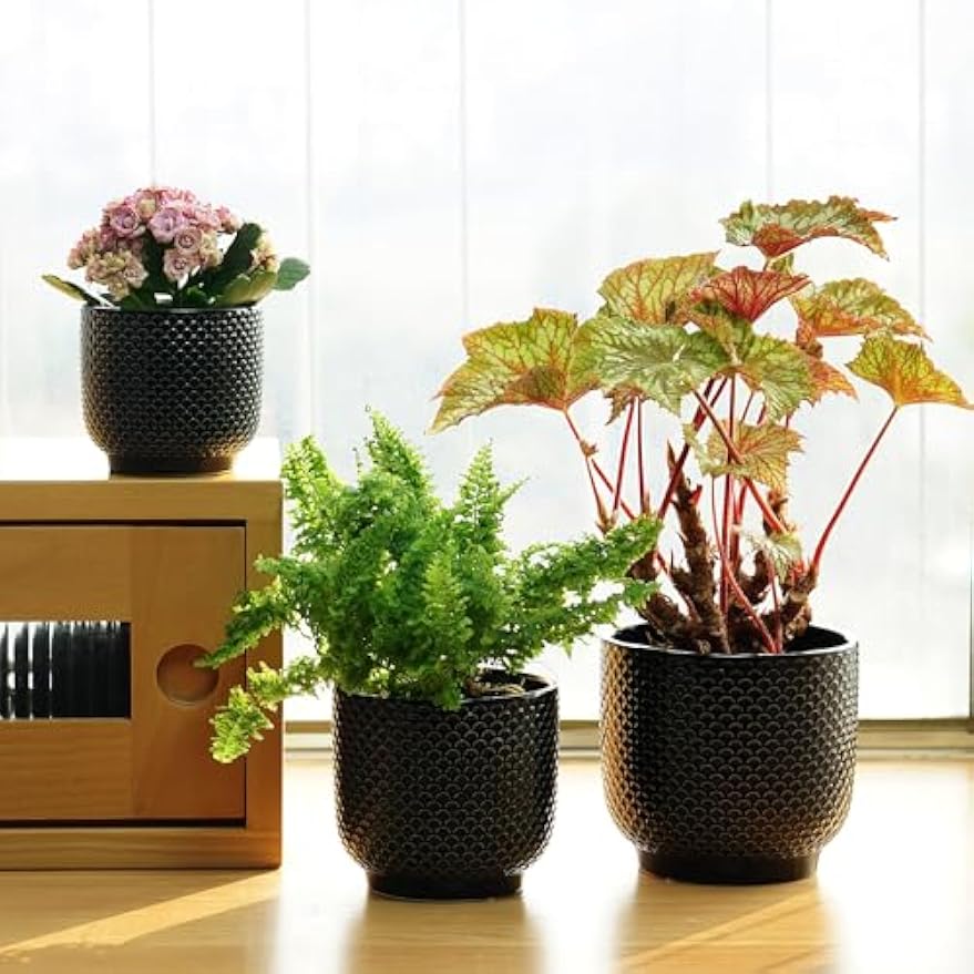 Set of 3 Ceramic Plant Pots 4‑6 Inch