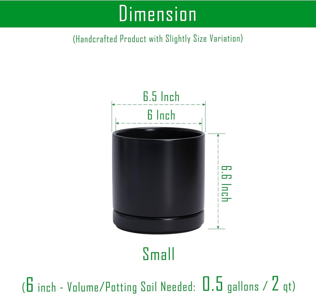 2‑Pack Ceramic Plant Pots