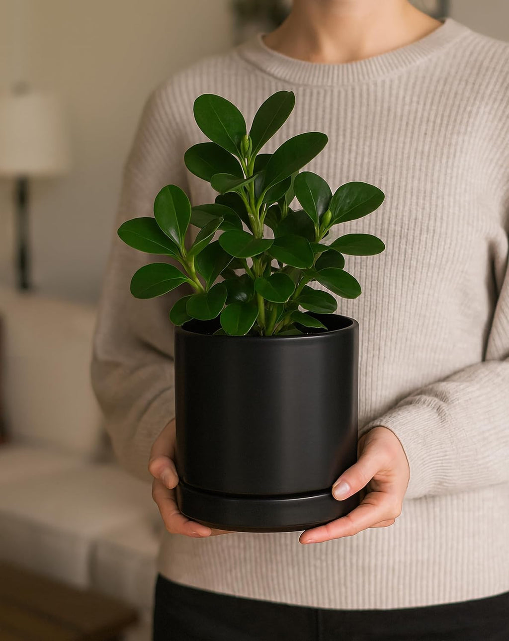 2‑Pack Ceramic Plant Pots