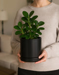 2‑Pack Ceramic Plant Pots