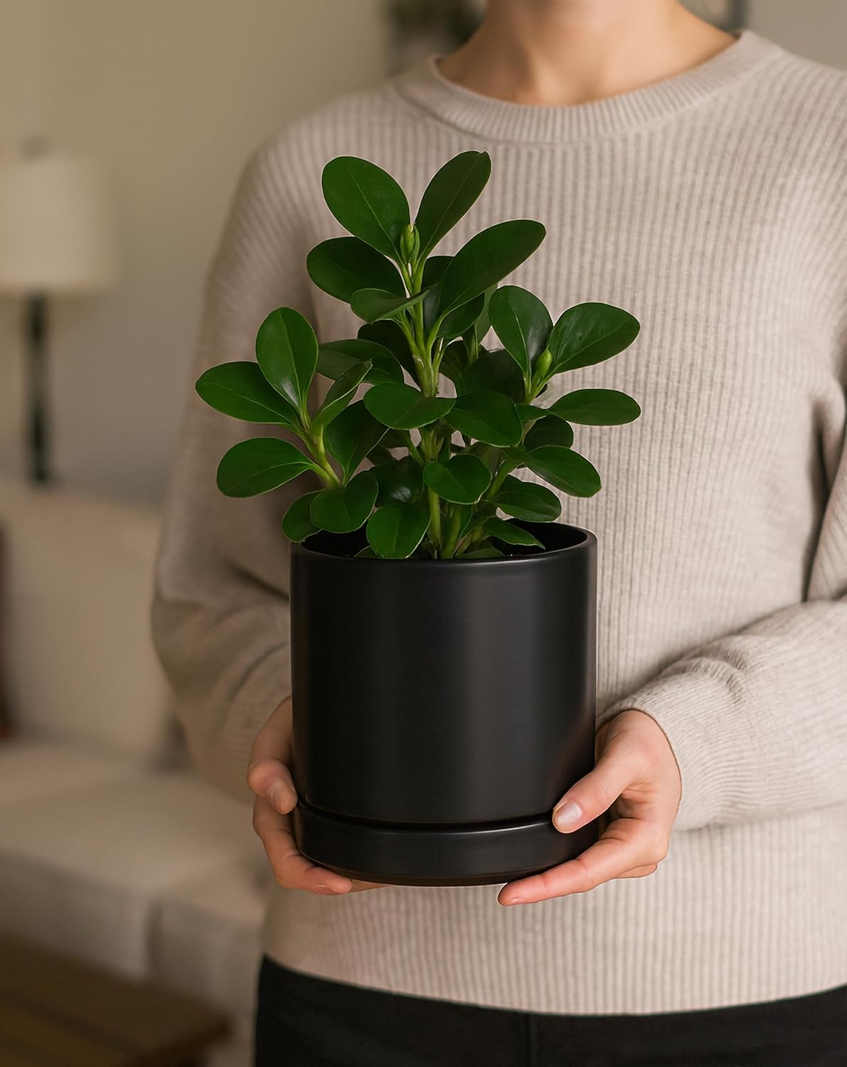 2‑Pack Ceramic Plant Pots