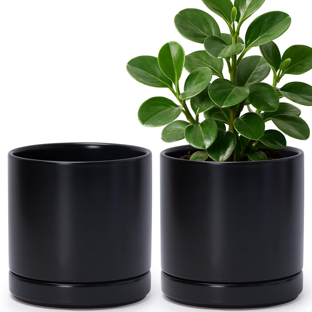 2‑Pack Ceramic Plant Pots