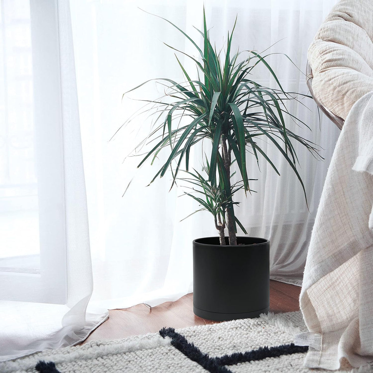 10 Inch Plastic Planter with Saucer