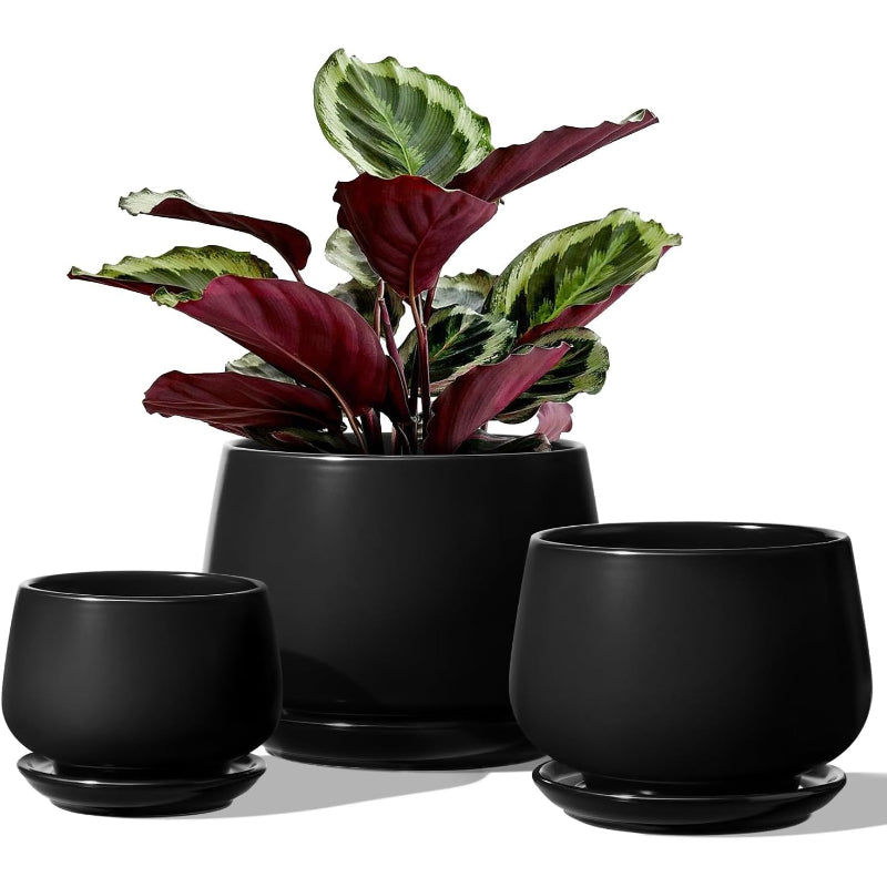 Set of 3 Ceramic Plant Pots