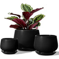 Set of 3 Ceramic Plant Pots